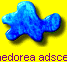 Chamaedorea adscendens