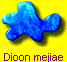 Dioon mejiae
