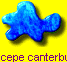 Hedyscepe canterburyana