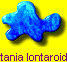Latania lontaroides
