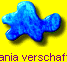 Latania verschaffeltii
