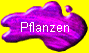 Pflanzen