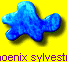 Phoenix sylvestris