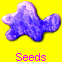 Seeds