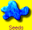 Seeds