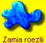 Zamia roezlii